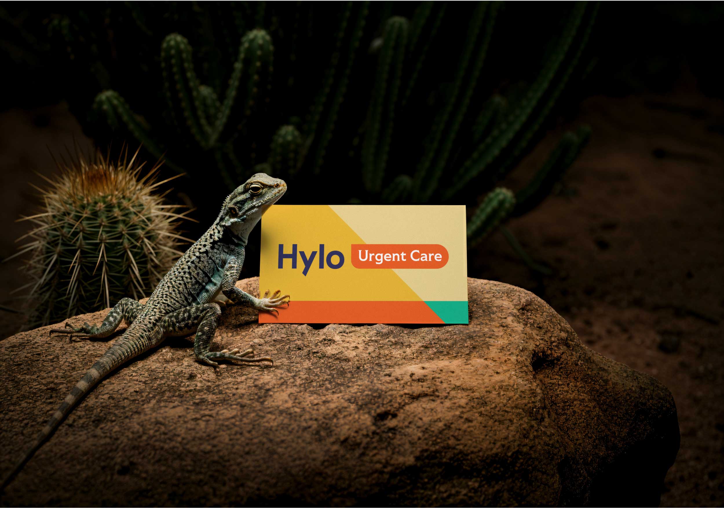 Hylo business card lizard